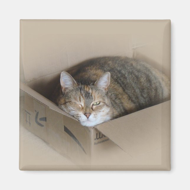 Lily #3 magnet (Front)