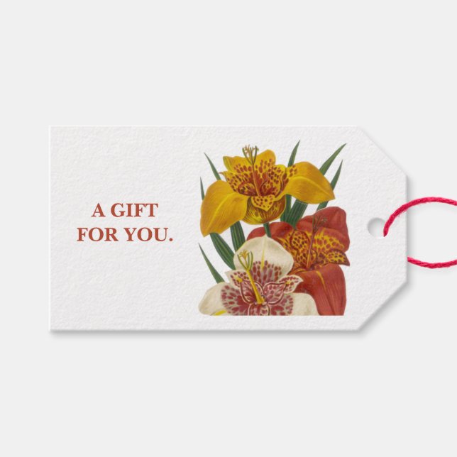 Lily all-occasion gift tag (Front (Horizontal))