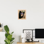Lily, an American Black Bear Poster (Home Office)