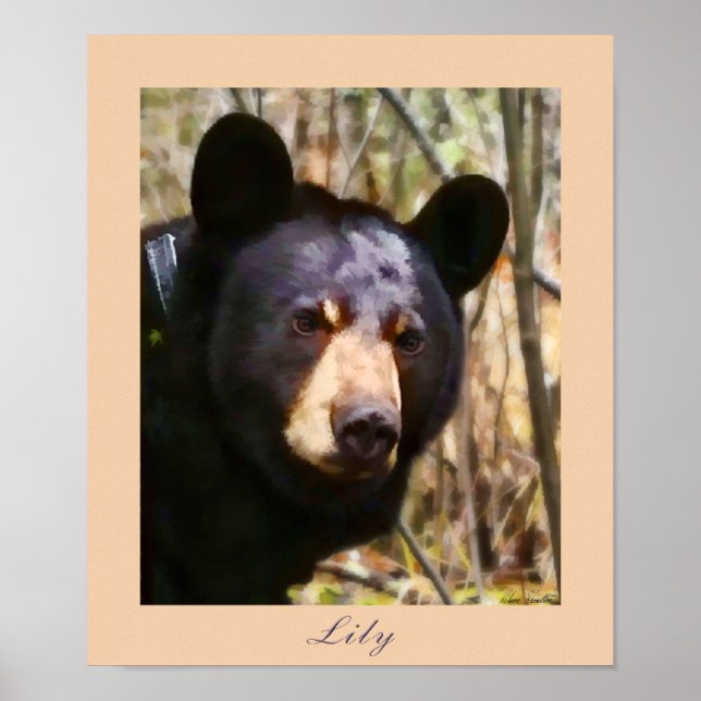 Lily, an American Black Bear Poster (Front)
