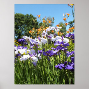 Lily and Iris Garden Poster