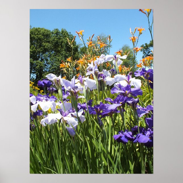 Lily and Iris Garden Poster (Front)