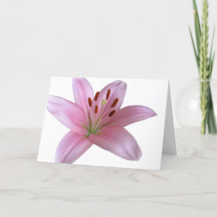 Lily - Blank greetings Card