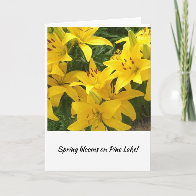 Lily Blooms signal Spring is here! Card (Front)