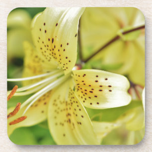 Lily Blooms Wedding Parties Coaster