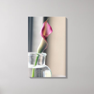 Lily Canvas Print