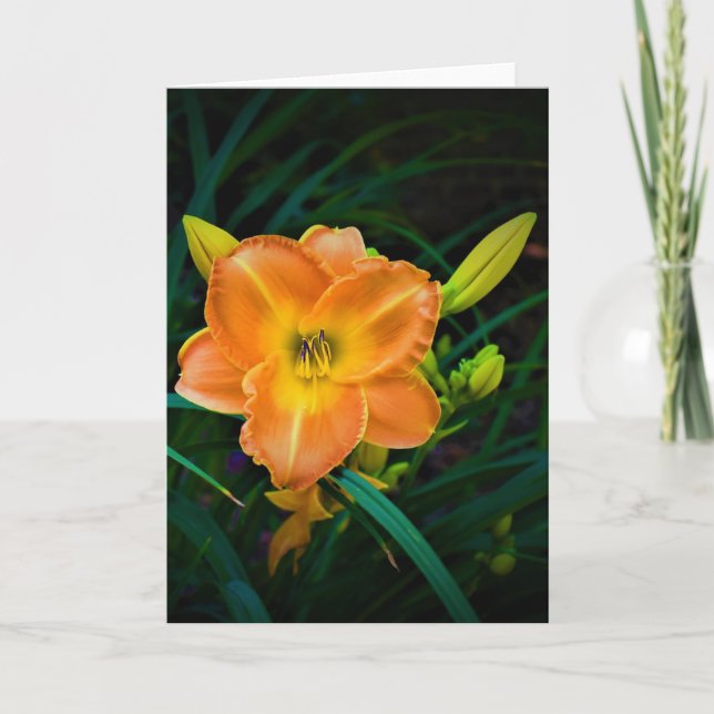 Lily, card (Front)