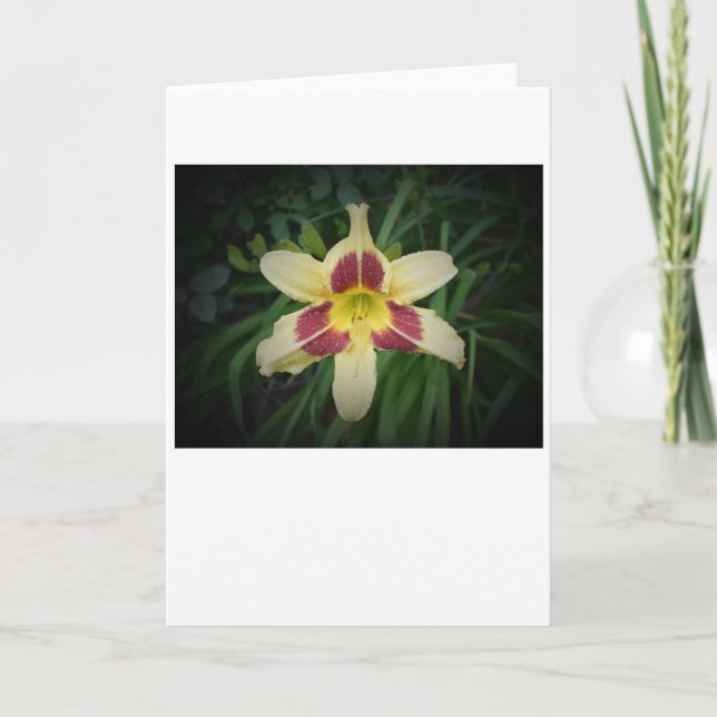 Lily, card (Front)