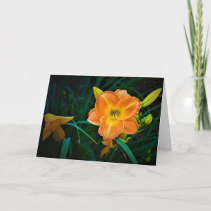 Lily, card
