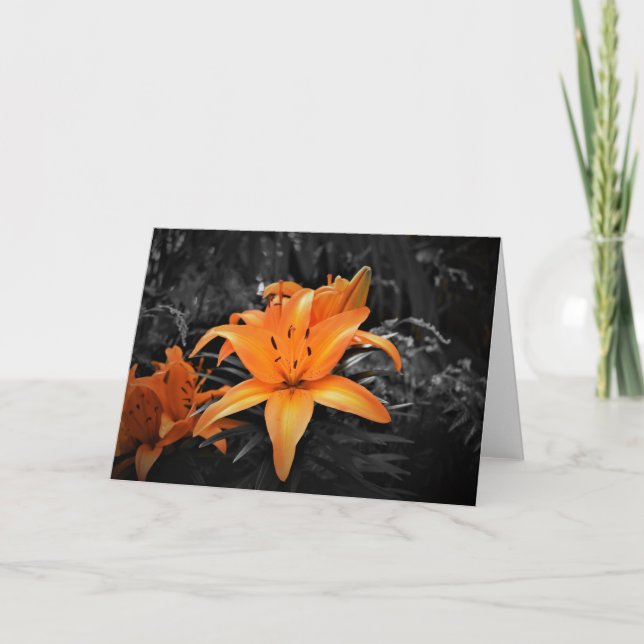 Lily, card (Front)