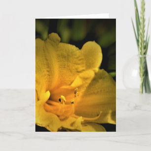Lily, card