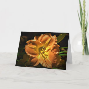 Lily, card