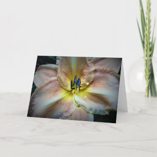 Lily, card