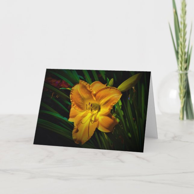 Lily, card (Front)