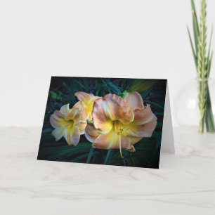 Lily, card