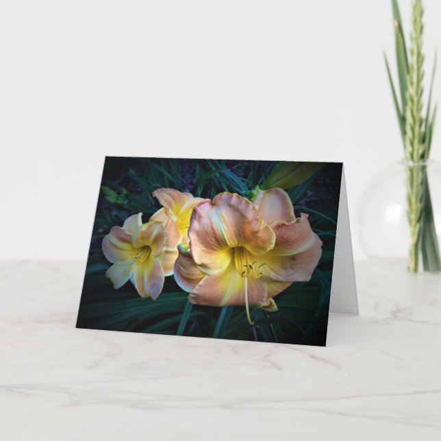 Lily, card (Front)