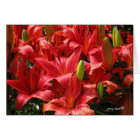 Lily Card
