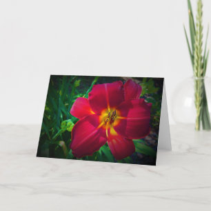 Lily, card
