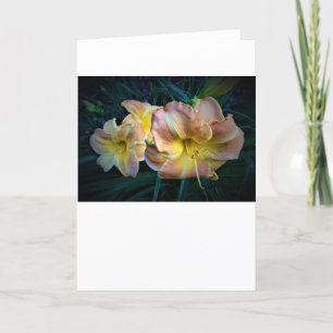 Lily, card