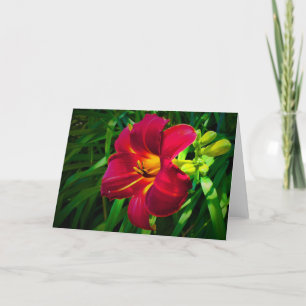 Lily, card