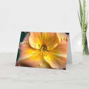 Lily, card