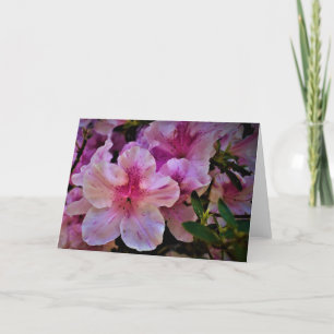 Lily, card