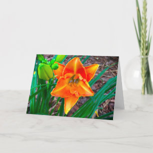Lily, card