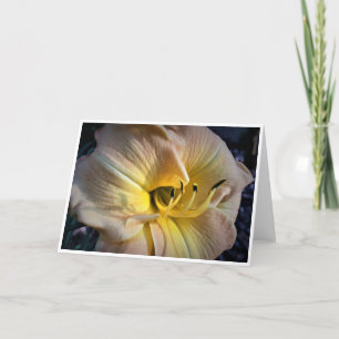 Lily, card