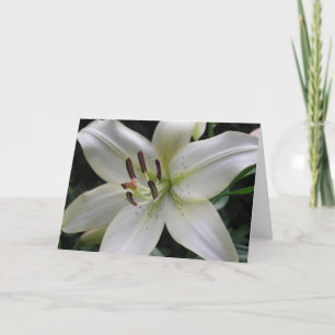 Lily Card