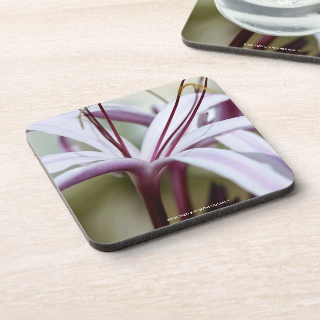 Lily Coaster (Left Side)