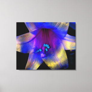 Lily Digitally Enhanced Canvas Wrap Quad