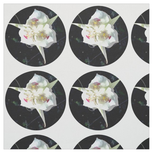 Lily Dot Fabric (Swatch)