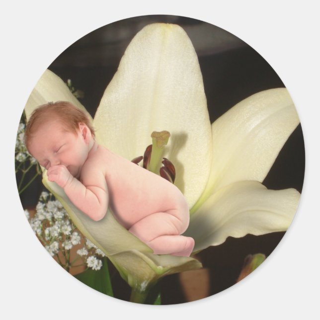 Lily Flower Baby Round Sticker (Front)