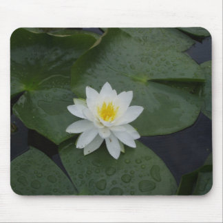 Lily Flower in Lily Pads Mouse Mat