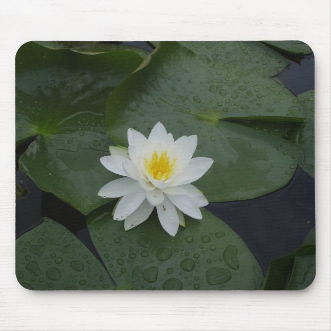 Lily Flower in Lily Pads Mouse Mat (Front)