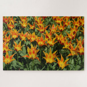Lily Flowered Tulip "Fly away." Orange. Jigsaw Puzzle