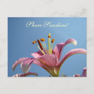 LILY FLOWERS Post Card Share Sunshine Postcards