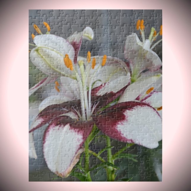 Lily Flowers White Maroon Botanical Photograpi Jigsaw Puzzle (Creator Uploaded)