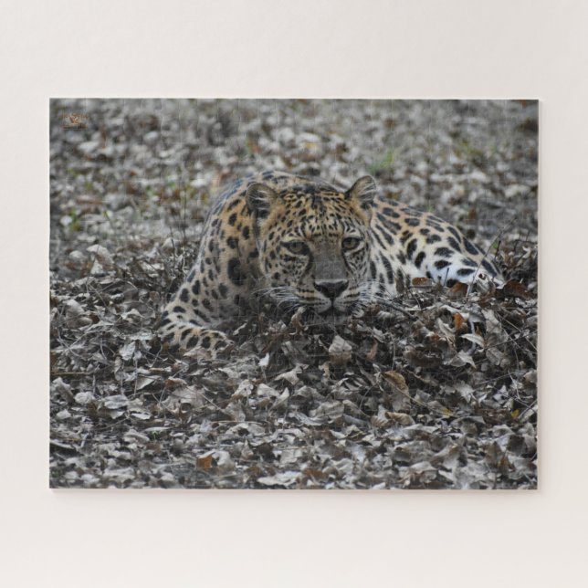 Lily in Leaves Jigsaw Puzzle (Horizontal)