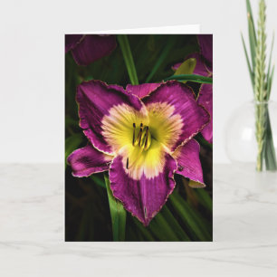 Lily & Ladybug, card