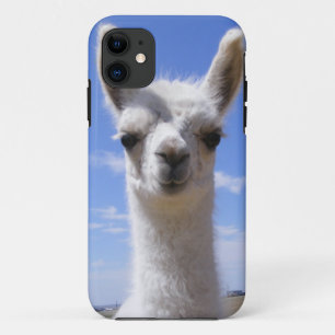 Lily Llama Cria iPhone 11 Case
