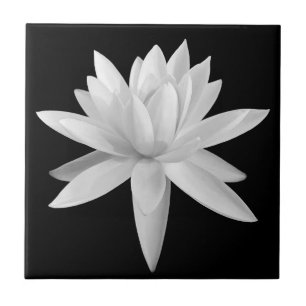 Lily Lotus Black and White Fine Art Photograph Tile