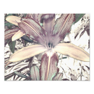 Lily Love Photo Print