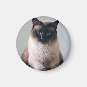 Lily Magnet