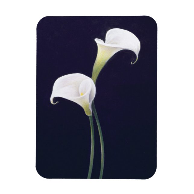Lily Magnet (Vertical)