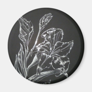 Lily Magnet