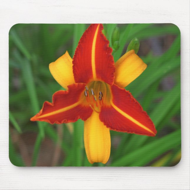 Lily Mousepad (Front)