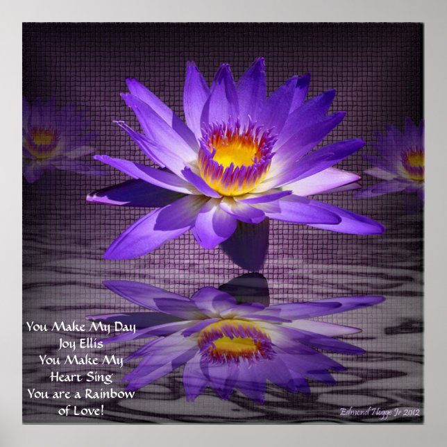Lily Of Love! Poster (Front)