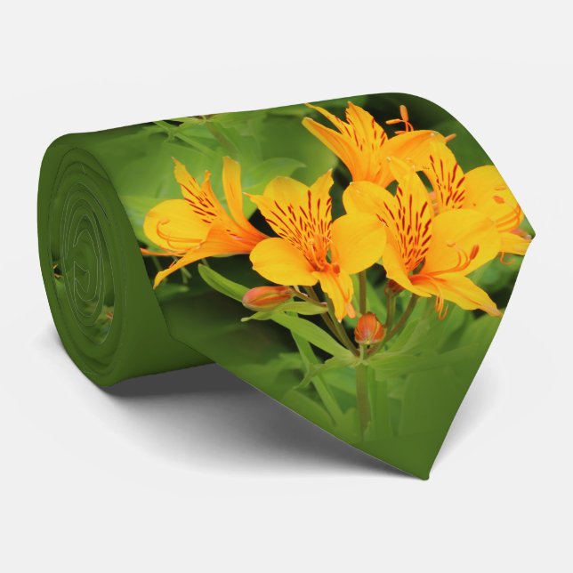Lily of the Incas / Yellow Alstroemeria Tie (Rolled)