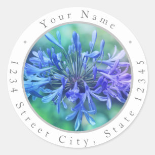 'Lily of the Nile' Labels